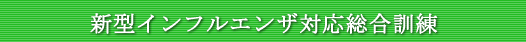 �V�^�C���t���G���U�Ή������P��