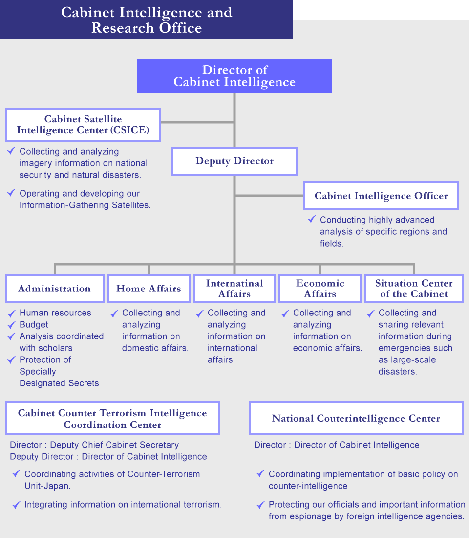 Organizational Structure