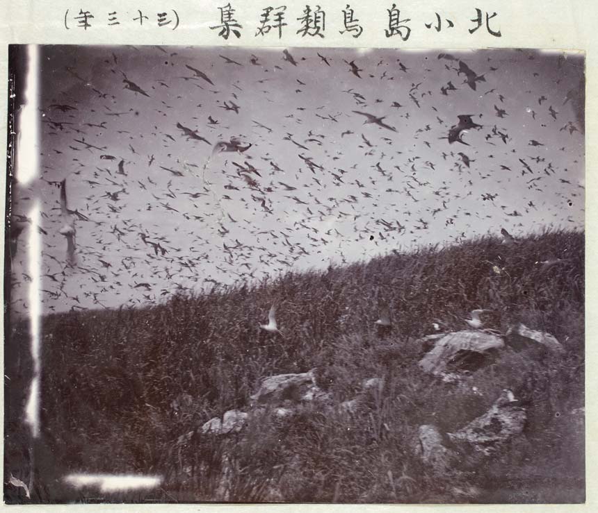 明治時代の尖閣諸島の写真(1900年(明治33年)、1908年(明治41年))(『古賀辰四郎へ藍綬褒章下賜の件』に添付されている写真)