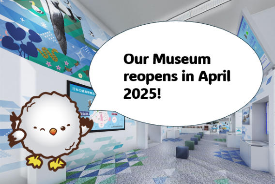 Our Museum reopens in April, 2025