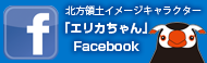 FacebookLink