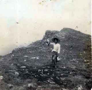 1953 survey photographs : Photo