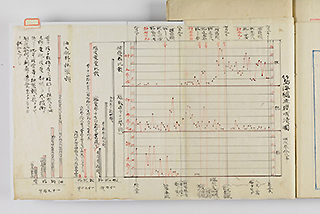 Takeshima sea lion hunting business performance charts 1905 : Photo