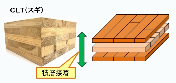 CLTとは