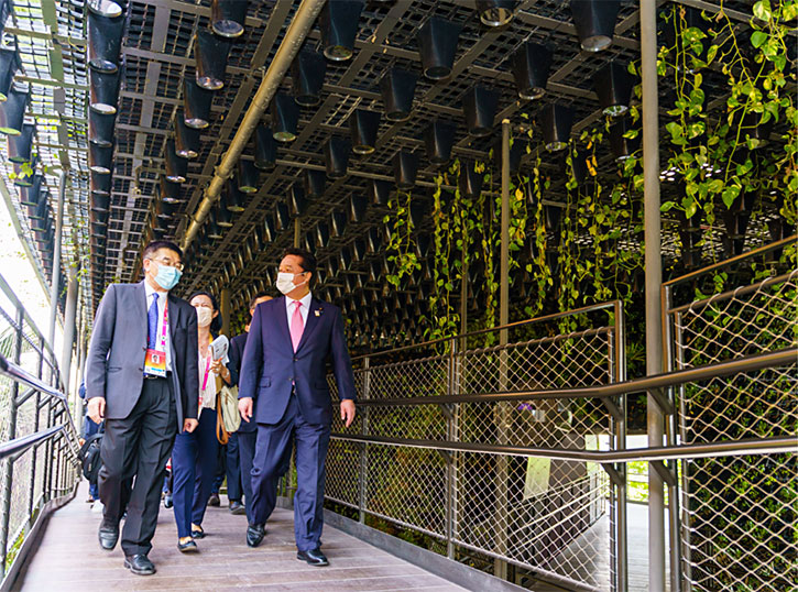 シンガポール館視察