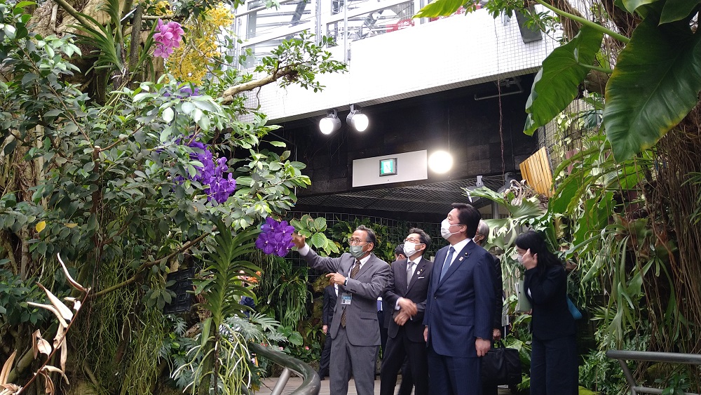 花博記念公園で咲くやこのはな館を視察する若宮大臣