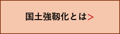 国土強靭化とは