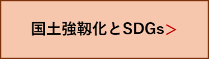 国土強靭化とSDGs