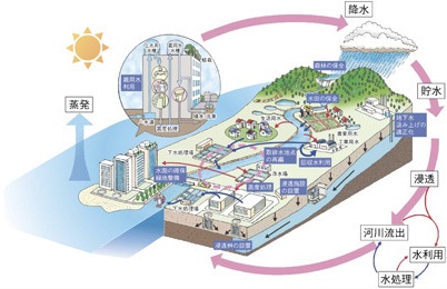 循環する水