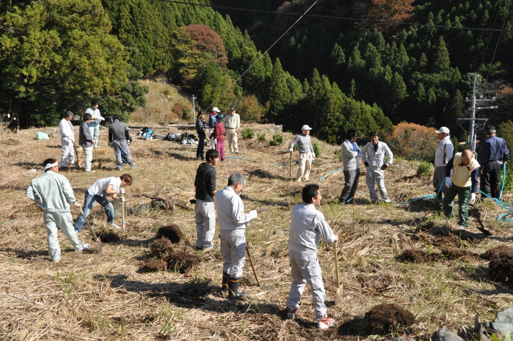 植樹作業