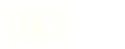 政策