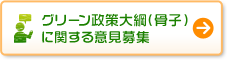 グリーン政策大綱（骨子）
に関する意見募集