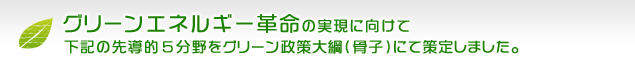 グリーンエネルギー革命の実現に向けて下記の先導的5分野をグリーン政策大綱（骨子）にて策定しました。