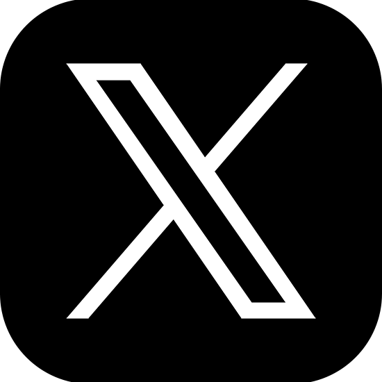 x logo
