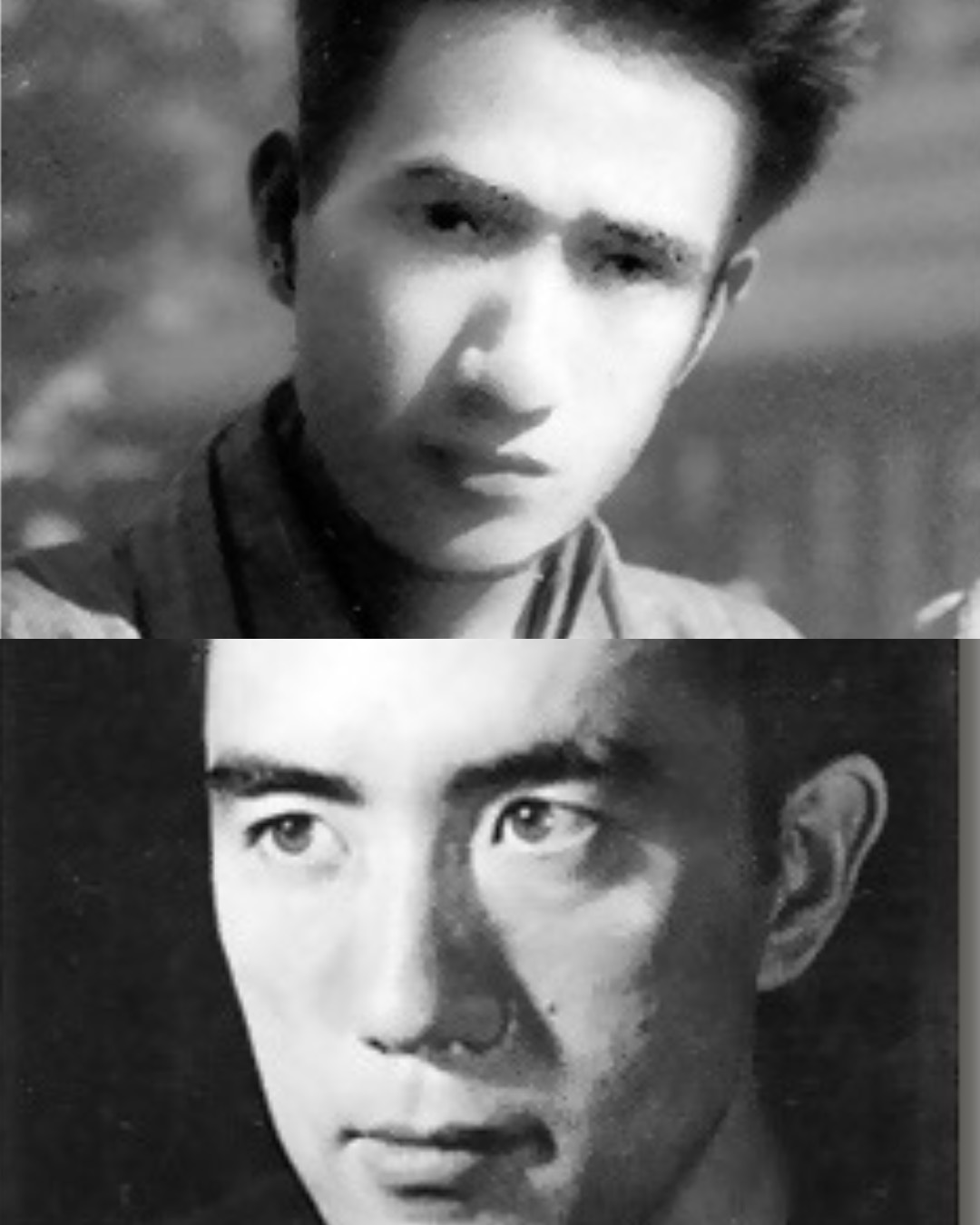 常設展「文学の森へ 神奈川と作家たち 第３部 太宰治、三島由紀夫から現代まで」