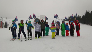 �V���������s�i�P�C�}�������j